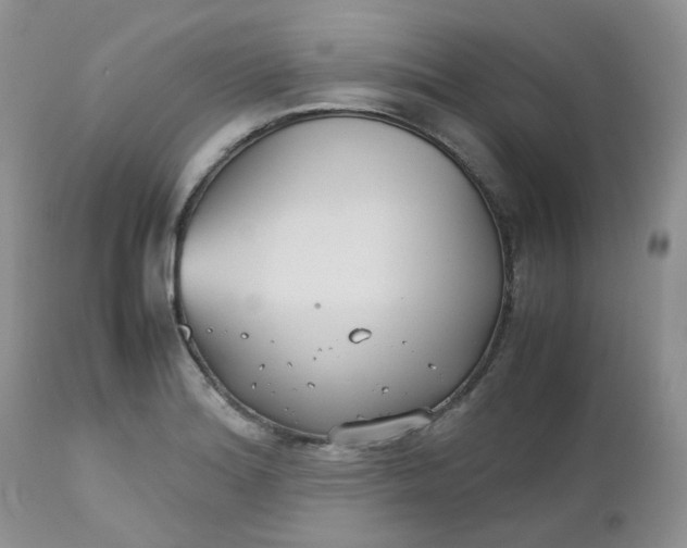 X0000112531180200908311416