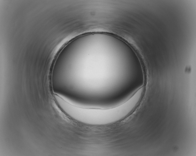 X0000112531181200908311416