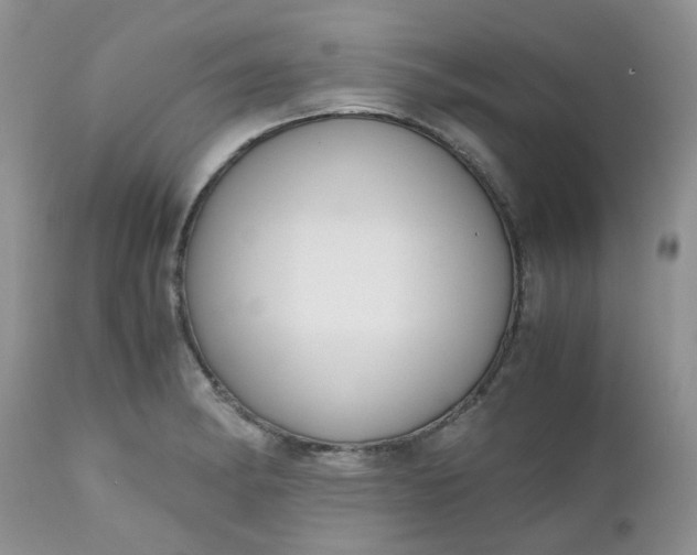 X0000112531182200908311416