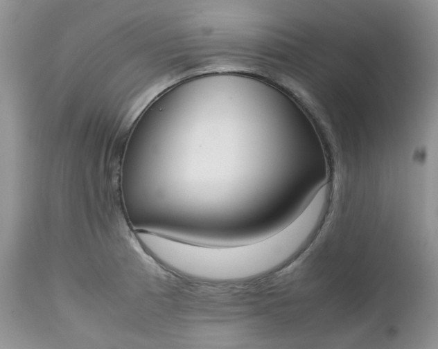 X0000112531185200908311416