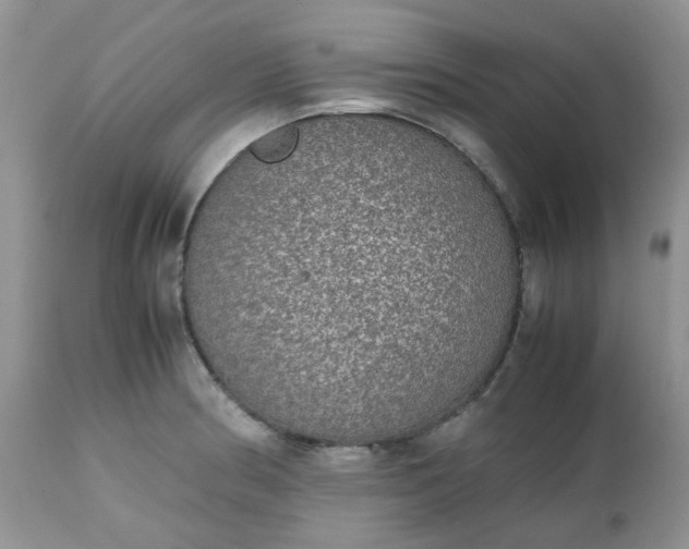 X0000112531186200908311415