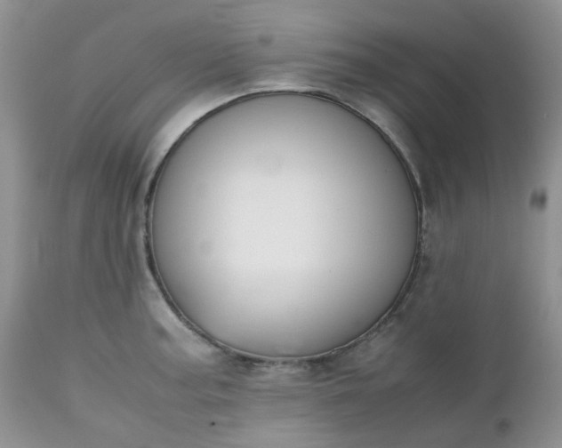 X0000112531187200908311415