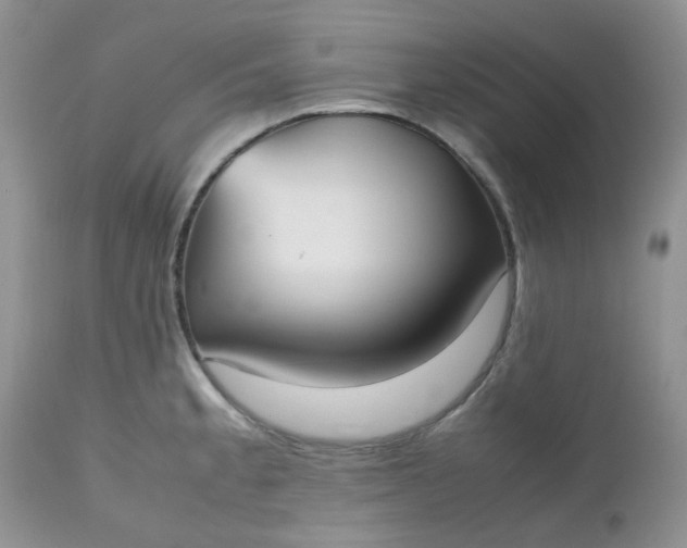 X0000112531189200908311415
