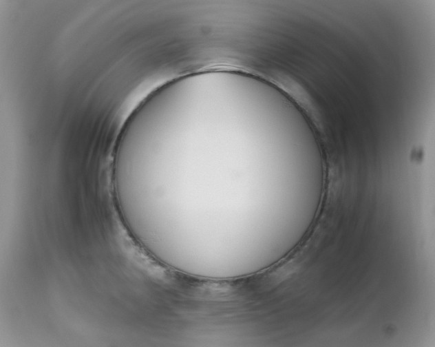 X0000112531190200908311415