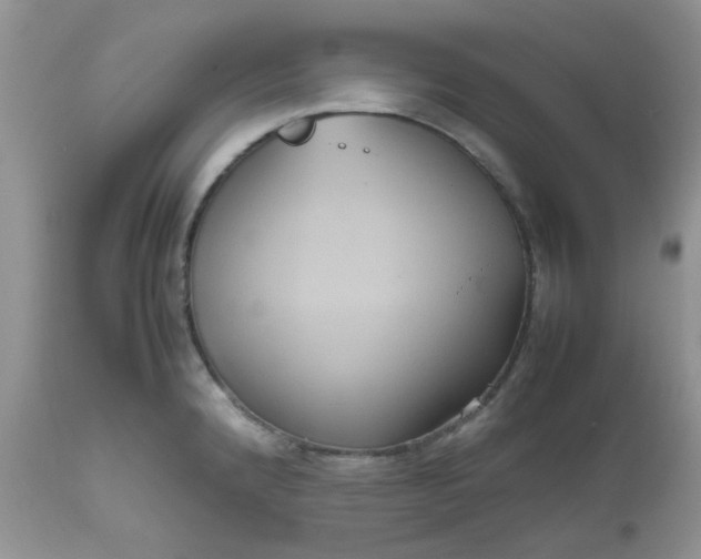 X0000112531192200908311415