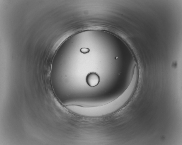 X0000112531193200908311415