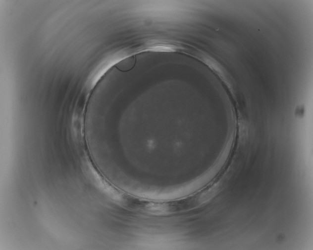 X0000112531194200908311415
