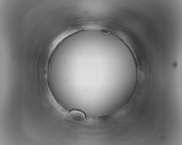 X0000112531195200908311415