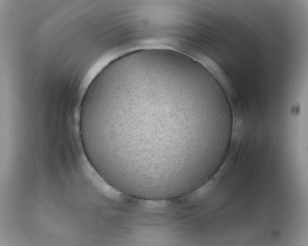 X0000112531196200908311415