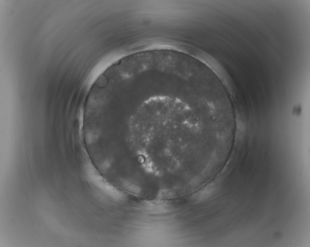 X0000112531198200908311415