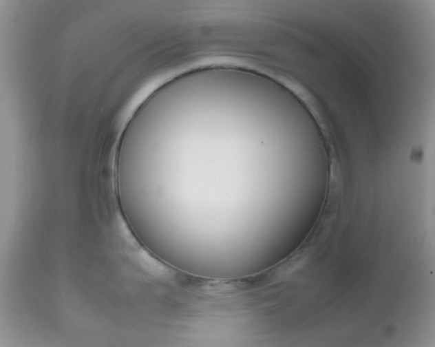 X0000112531199200908311415