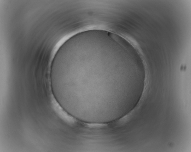 X0000112531200200908311415