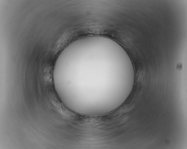 X0000112531202200908311414
