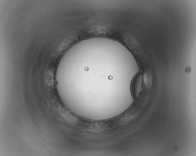 X0000112531203200908311414