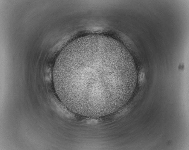 X0000112531204200908311414