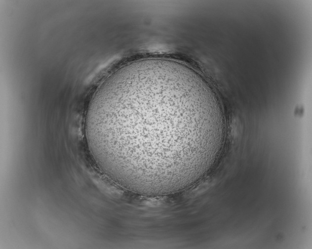 X0000112531205200908311414