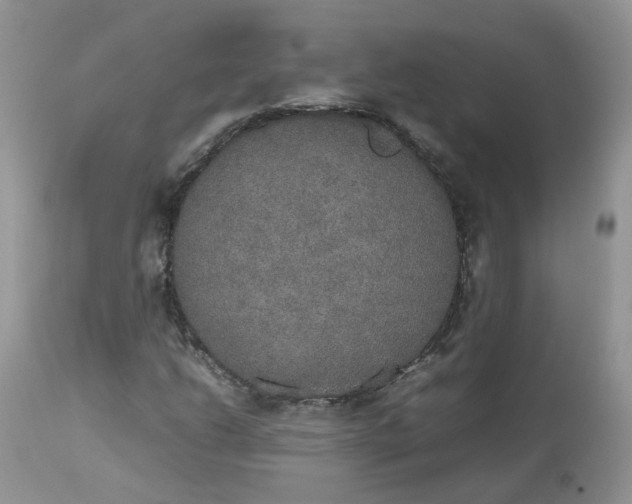 X0000112531206200908311414