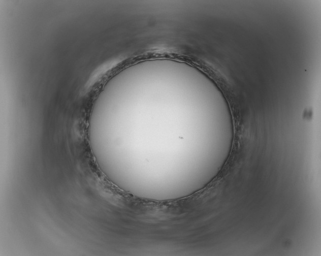 X0000112531207200908311414