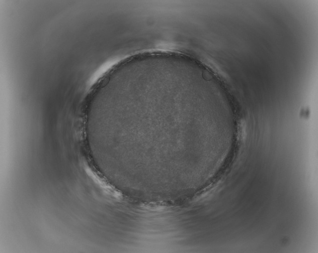 X0000112531208200908311414