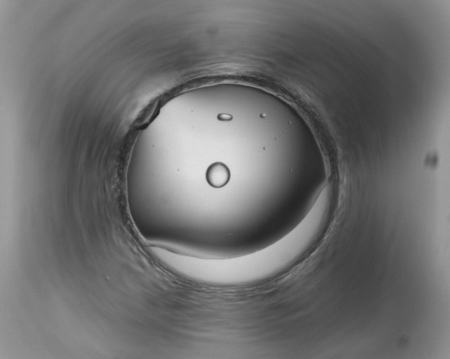 X0000112531210200908311414