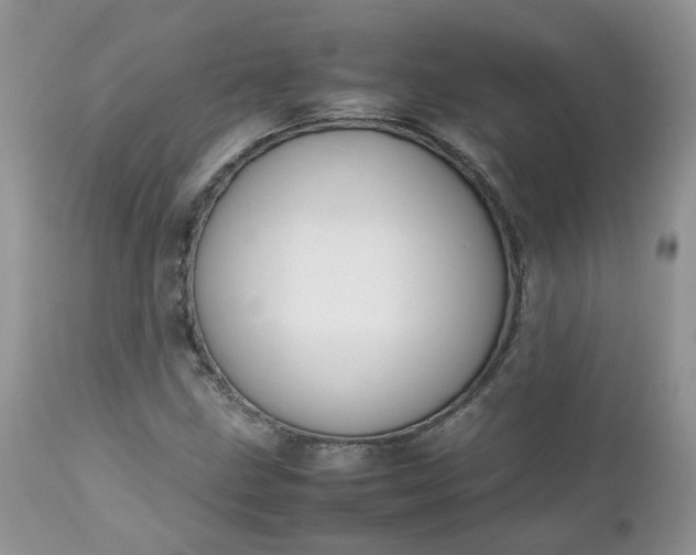 X0000112531211200908311414