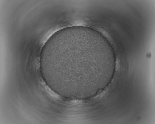 X0000112531212200908311414