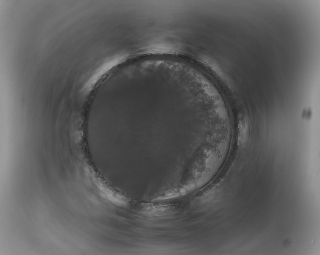 X0000112531213200908311414