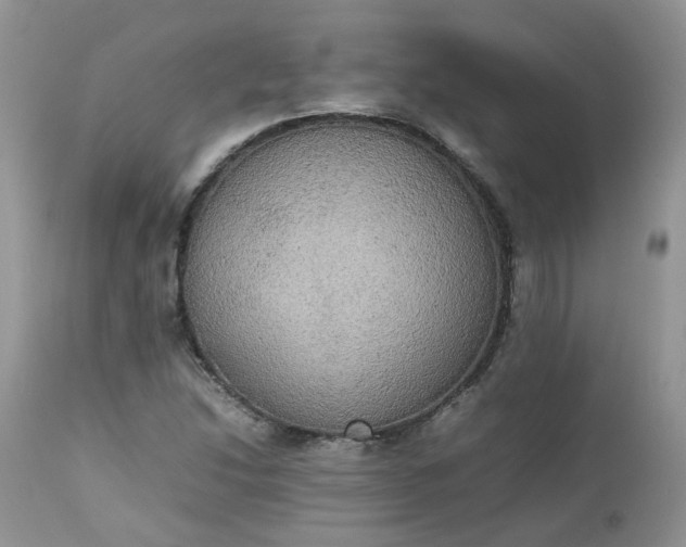 X0000112531214200908311414