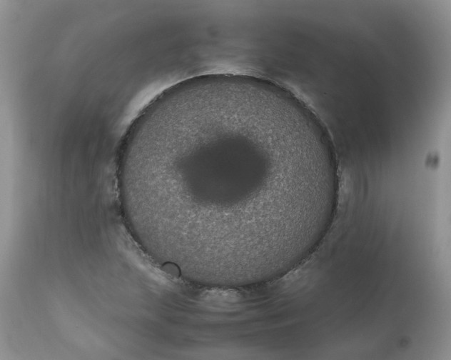 X0000112531215200908311414
