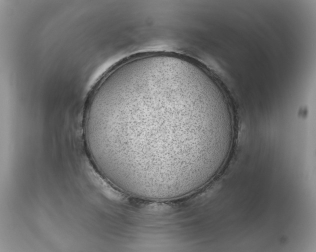 X0000112531216200908311415