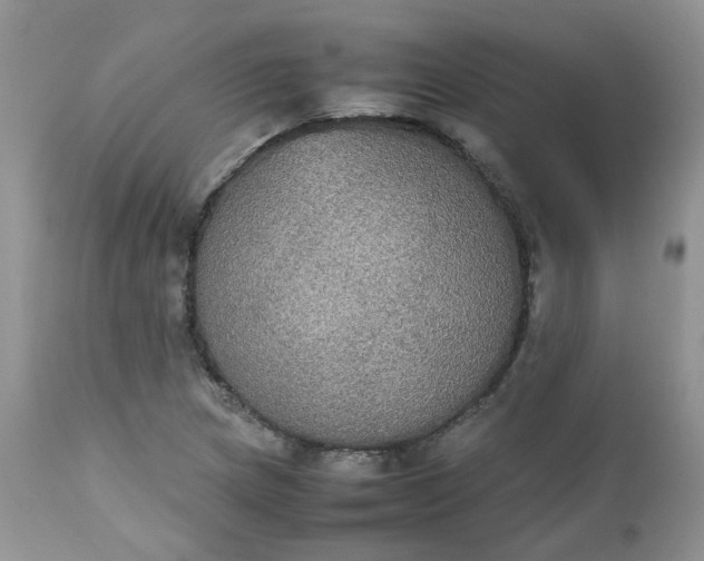 X0000112531217200908311415