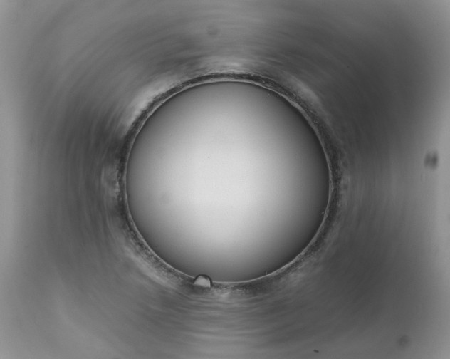 X0000112531218200908311415