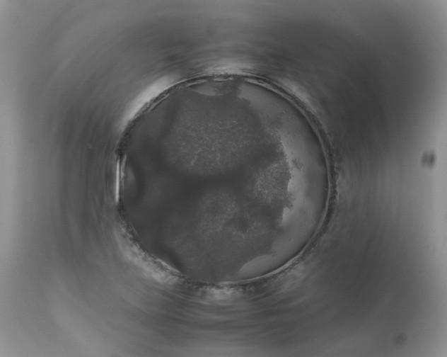 X0000112531219200908311415