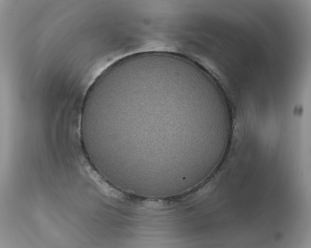 X0000112531220200908311415