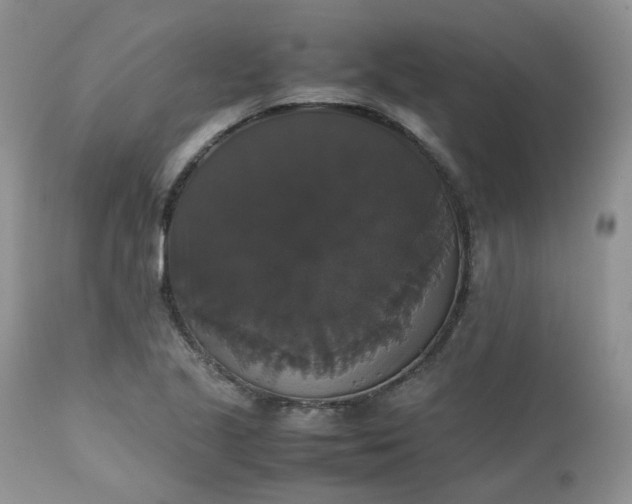 X0000112531221200908311415