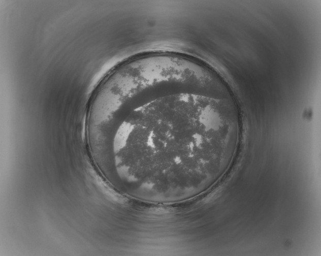 X0000112531224200908311415