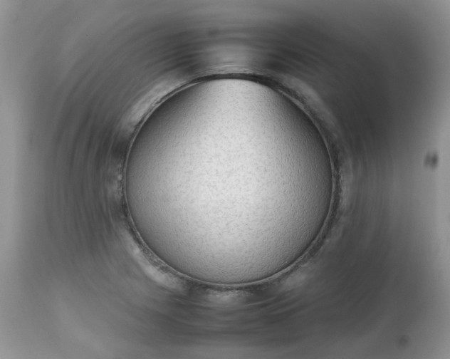 X0000112531225200908311415