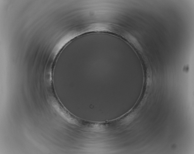 X0000112531226200908311415