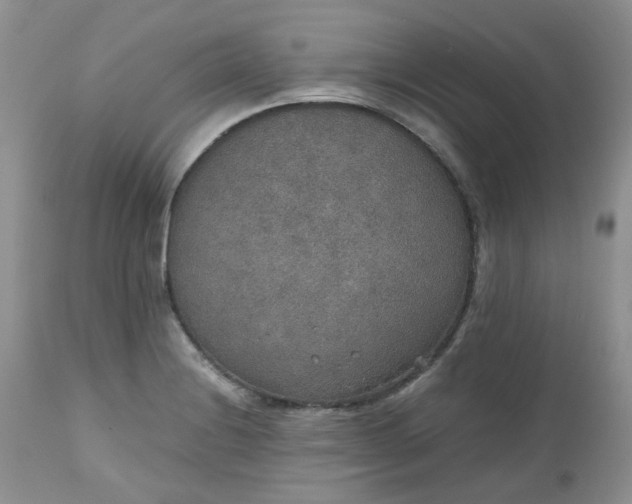 X0000112531228200908311415