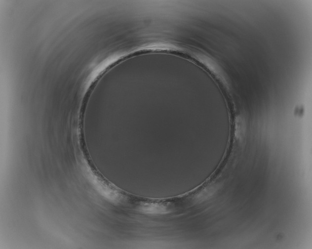 X0000112531229200908311415