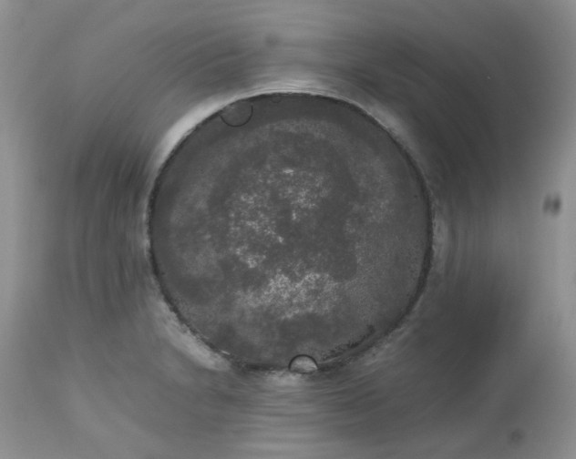 X0000112531230200908311415