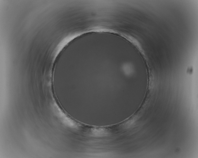 X0000112531231200908311415