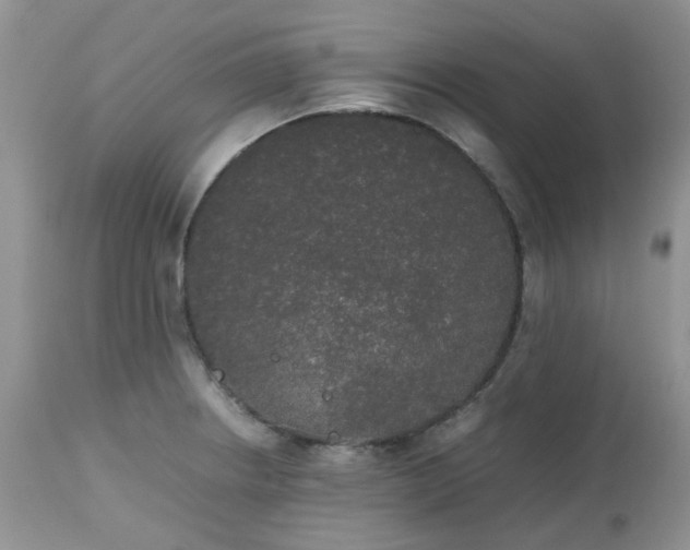 X0000112531234200908311415
