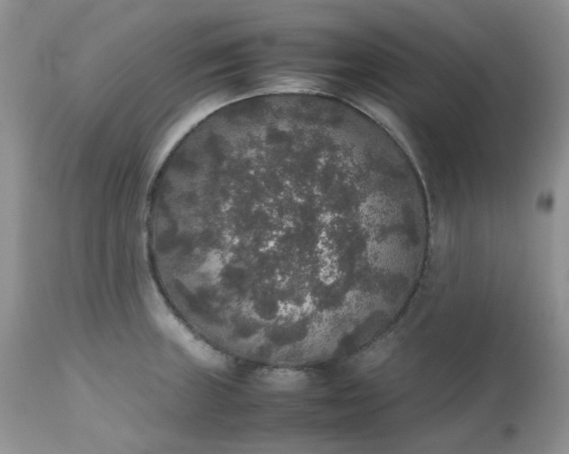 X0000112531235200908311415