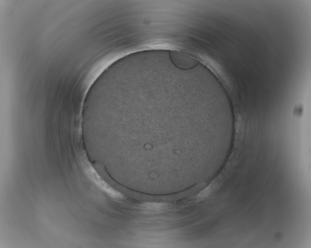 X0000112531236200908311415