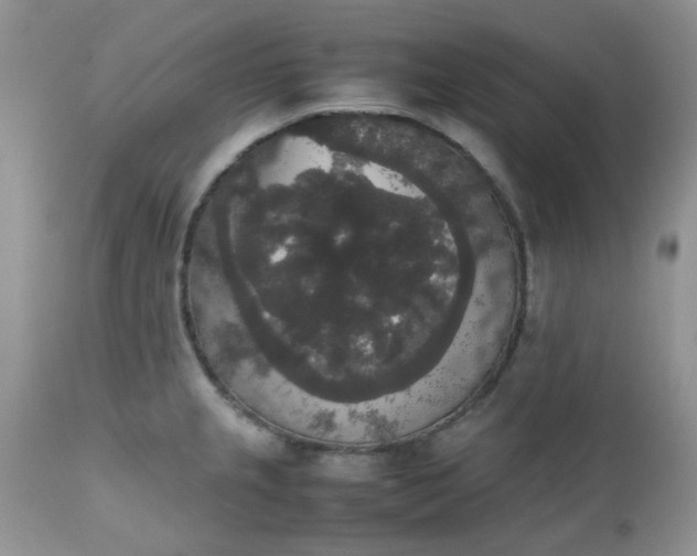 X0000112531237200908311415