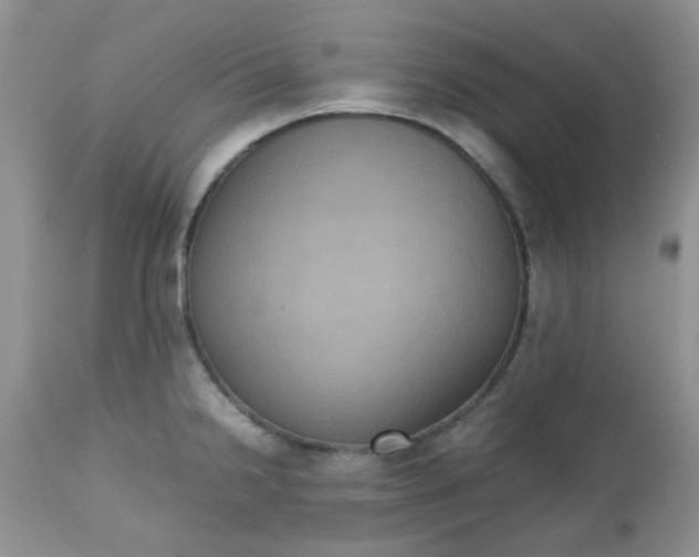 X0000112531238200908311415