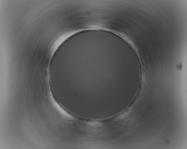 X0000112531239200908311415