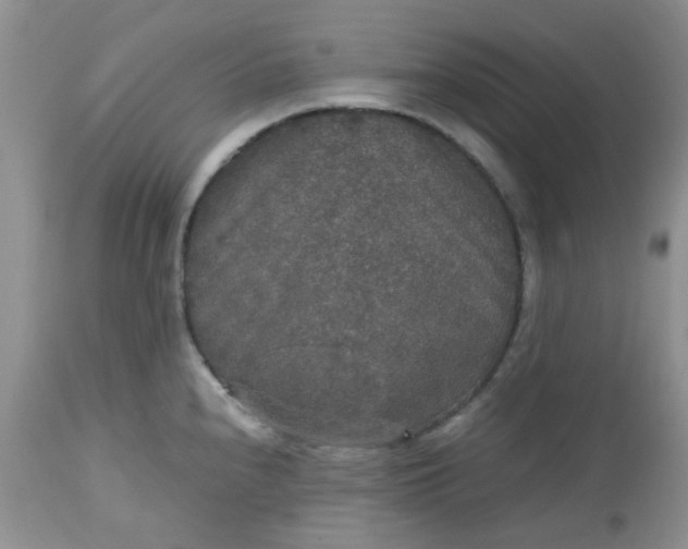 X0000112531240200908311415