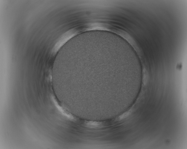 X0000112531241200908311415